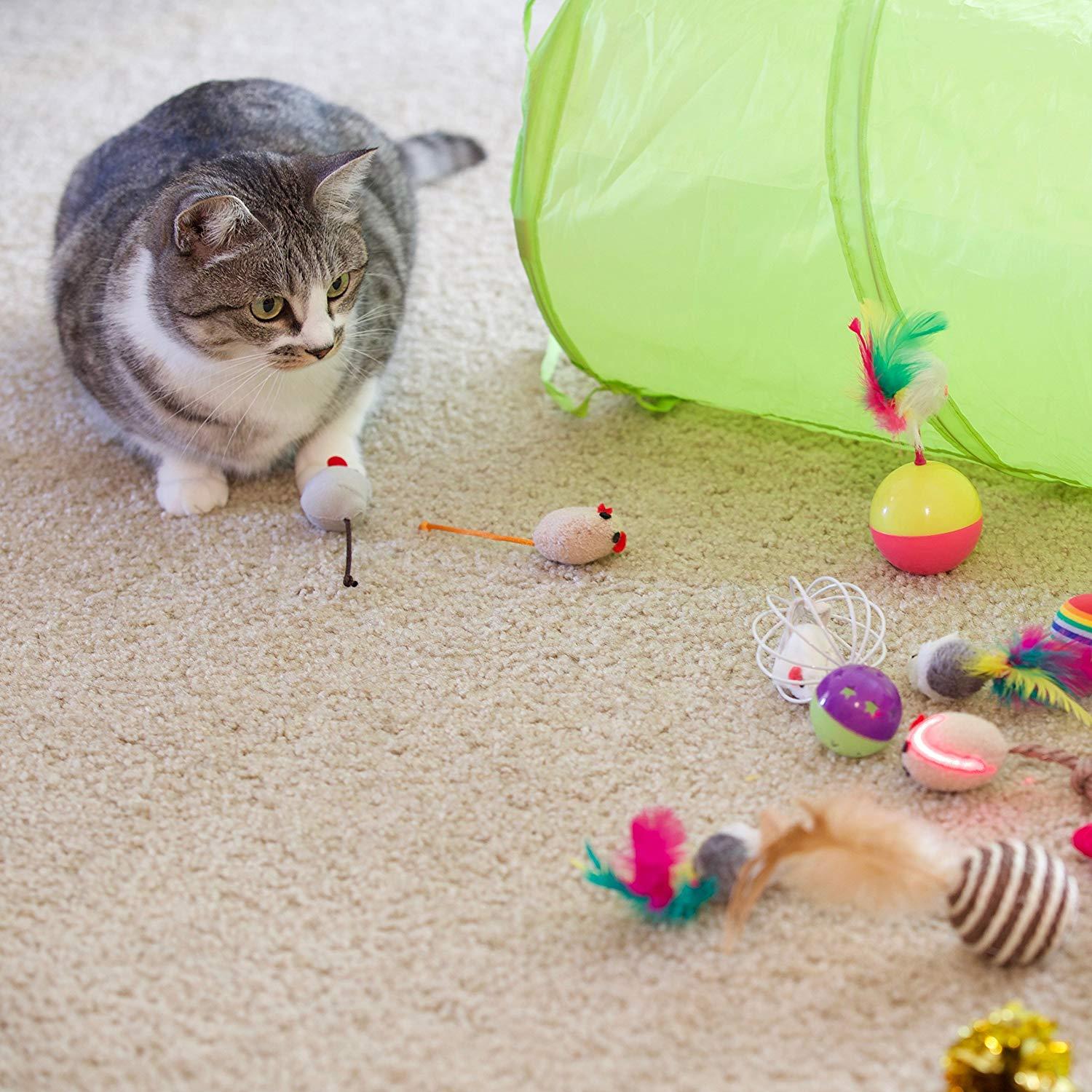猫と新しいおもちゃで遊びたい！人気の猫のおもちゃ特集 5分でわかる！おすすめ商品｜monoMAG